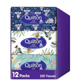Quilton 2-Ply Hypo-Allergenic Facial Tissue 12 packs