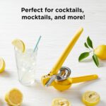 3-in-1 Palm Citrus Zester - Grater, Zester & Garnishing Tool by Chef'n - Image 5